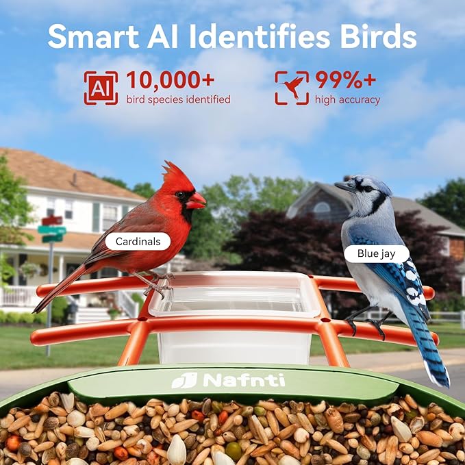 Bird Feeder with Camera, Support 2.4GHz/5GHz, 2K Live Steam for Outdoor, 1.8L Large Capacity, AI Identify Auto Capture Videos, Camera Bird Feeders for Outside, Ideal Gift for BirdLovers (Green)