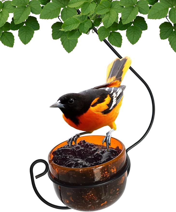Oriole Jelly Feeder - Sparkling Orange Glass Bowl with Decorative Hanging Hook - Removable Cup for Easy Cleaning - Outdoor Baltimore Oriole Feeder for Grape Jelly, Fruit & Nectar