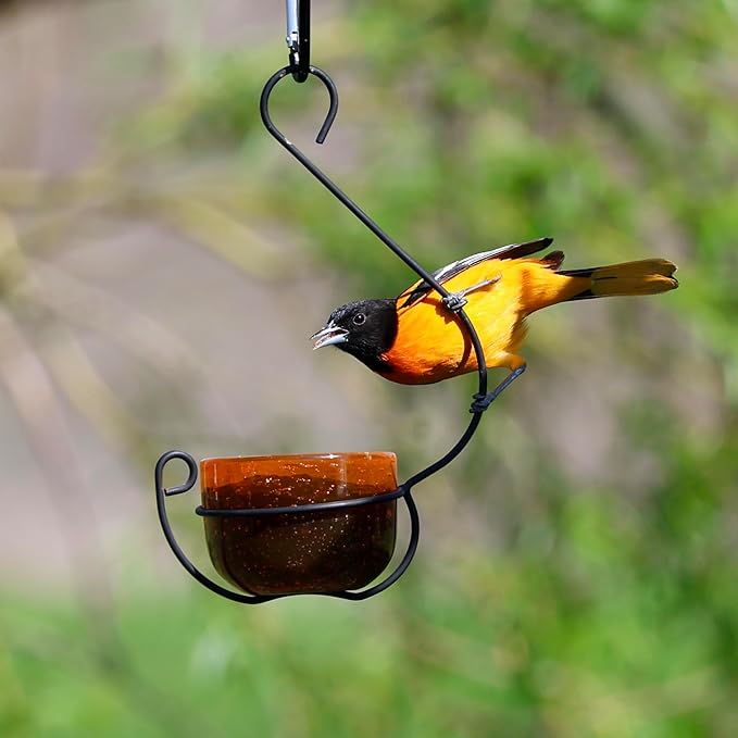Oriole Jelly Feeder - Sparkling Orange Glass Bowl with Decorative Hanging Hook - Removable Cup for Easy Cleaning - Outdoor Baltimore Oriole Feeder for Grape Jelly, Fruit & Nectar