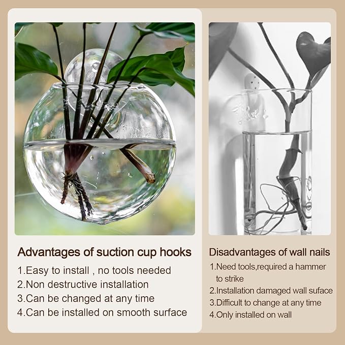 Window Propagation Stations, Oblate Glass Terrariums Planter with Suction Cup Hook, Wall Hanging Planters for Hydroponics Plants, Home, Office, Bathroom, Living Room Decor, Gift for Plant Lovers (6)