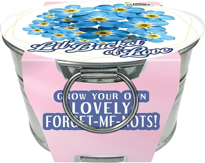 Unique Gardener Flowering Tin Plant Seeds 3 Variety Pack, DIY Indoor Succulents and Live Plants for Home or Garden Planting, Assorted Tin Pack