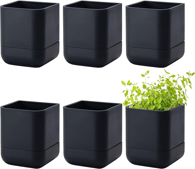 Phoenix Vine 3.5 Inch Wall Mounted Self-Watering Planter Pot for Indoor Houseplants and Herbs | Hanging Planter for Window Sills, Bathroom Walls, Home & Office Décor, Black, Set of 6, 01-A-E-6