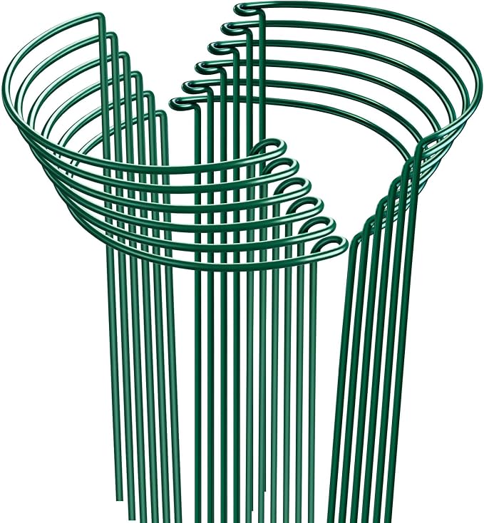 HiGift 12 Pack 10" W x 24" H Plant Stakes for Indoor Plants, Metal Garden Peony Support Cages, Outdoor Plant Supports Ring Prop, Large Plant Stake for Hydrangea,Rose,Flower,Vine,Potted Plants