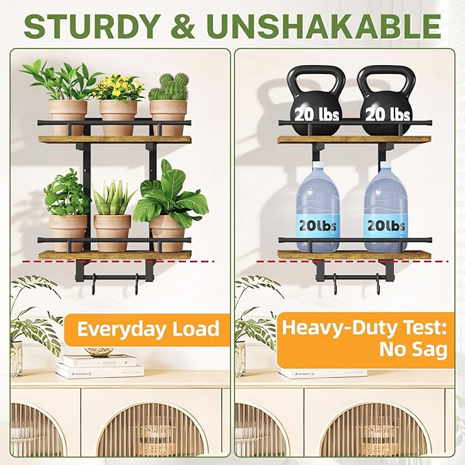 iDavosic.ly Wall Plant Holder Set of 3, 2-Tier Floating Shelves with Hooks, Metal Display Stand for Indoor Outdoor, Picture Frames, Living Room Decor, Space Saving (Pots/Chains/Plants Not Included)