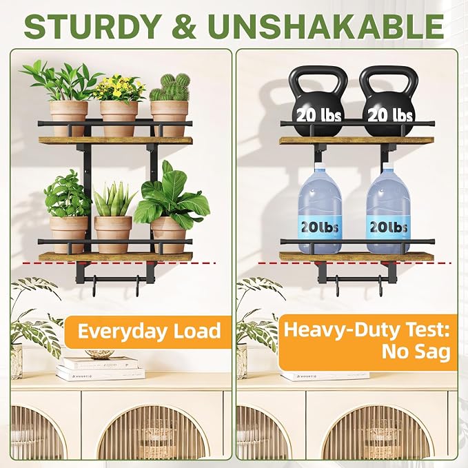 iDavosic.ly Wall Plant Display Set of 4, Floating Picture Frame Holder, 2-Tier Shelves with 4 Hooks, Metal Stand for Indoor Haning Home Decor Outdoor Space Saving (Pots/Chains/Plants Not Included)