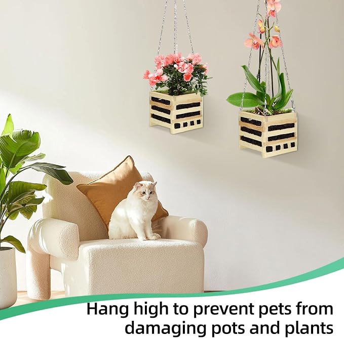 4 Sets Wooden Orchid Wall Planters Wood Orchid Hanging Planter with Hangers Wooden Plant Hanger Orchid Basket with Chain for Indoor or Outdoor Including 4 Adjustable Mats (4+6+8+10inch)