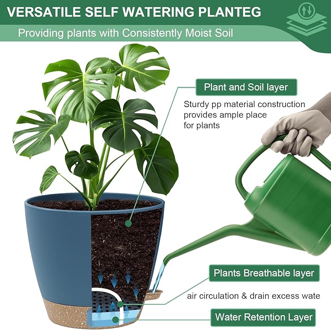 montresor 2 Pack 8 inch Plant Pots, PP Plastic Self Watering Plant Pot with Drainage and Tray for Indoor Outdoor Plants, Water Level Window & Reservoir Flower Pots Decorative Planter (Blue)