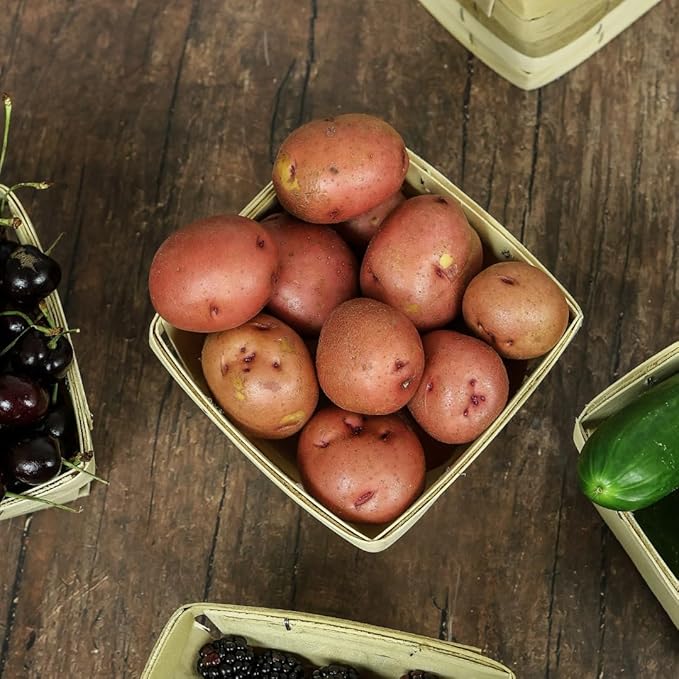 Set of 10 Quart Harvest Baskets – Small Wooden Fruit and Vegetable Baskets – Perfect for Farmer’s Markets, Harvesting, Gifting, and Décor