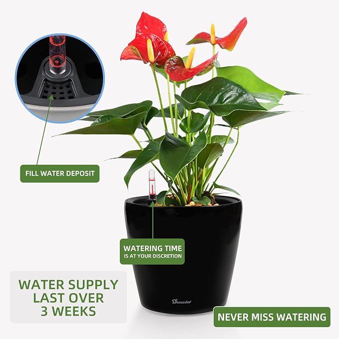 Dexceder 11x10 Self Watering Planter (Black High Gloss) | Inner Pot Design, Thickened Table Flower Plant Pot with Water Level Indicator Indoor Outdoor