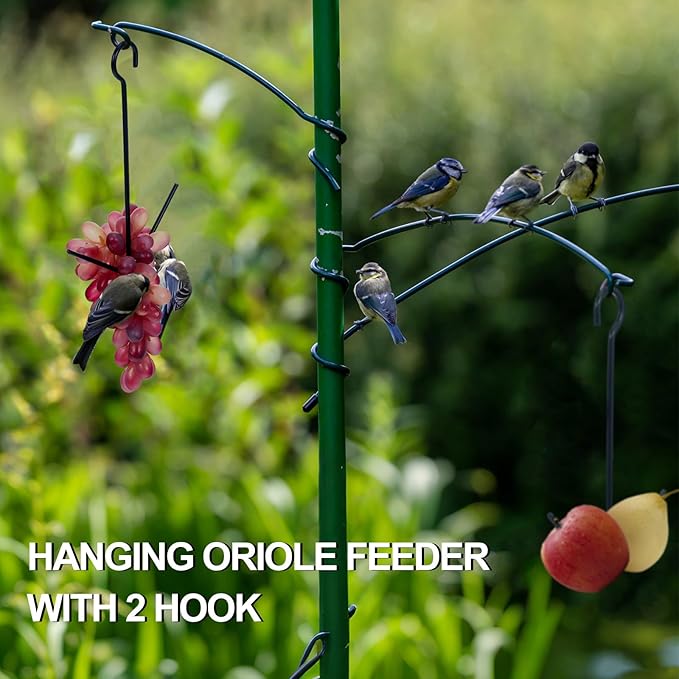 Zonon 1 Pcs Oriole Bird Feeder Hanging Orange Fruit Bird Feeder with Hook Black Fruit Holder for Outdoors Garden Patio (2 Prongs)