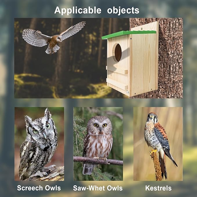 Screech Owl House, Owl Bird Box Large Handmade Wooden Circular Opening Screech Box for Outside with Mounting Screws and A Bag of Wood Shavings, Easy Assembly Required (Green, 9" x 14.5")