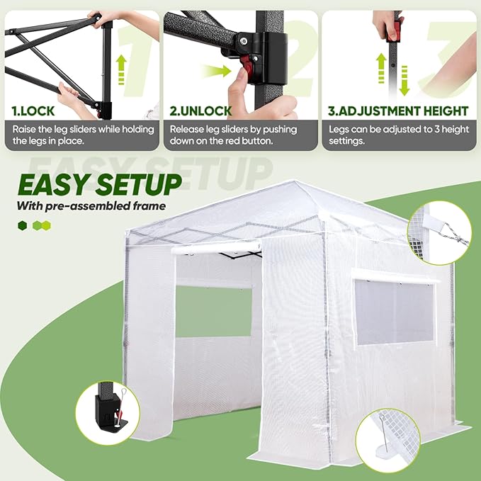EAGLE PEAK 8x8 Portable Walk in Greenhouse, Pop Up Indoor Outdoor Greenhouse, Green House Kit with Zippered Roll-Up Doors and Windows, PE Cover, Clear/White