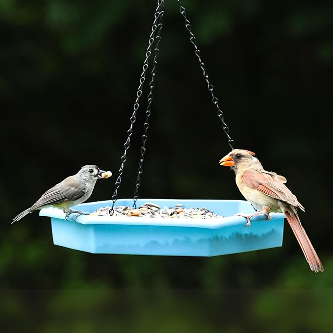 Combo Café 2-in-1 Recycled Plastic Bird Feeder and Bird Bath for Wild Birds and Outdoor Décor, Hanging Bird Bath and Tray Feeder with Chains Included, 1.5 Quart Capacity, Blue