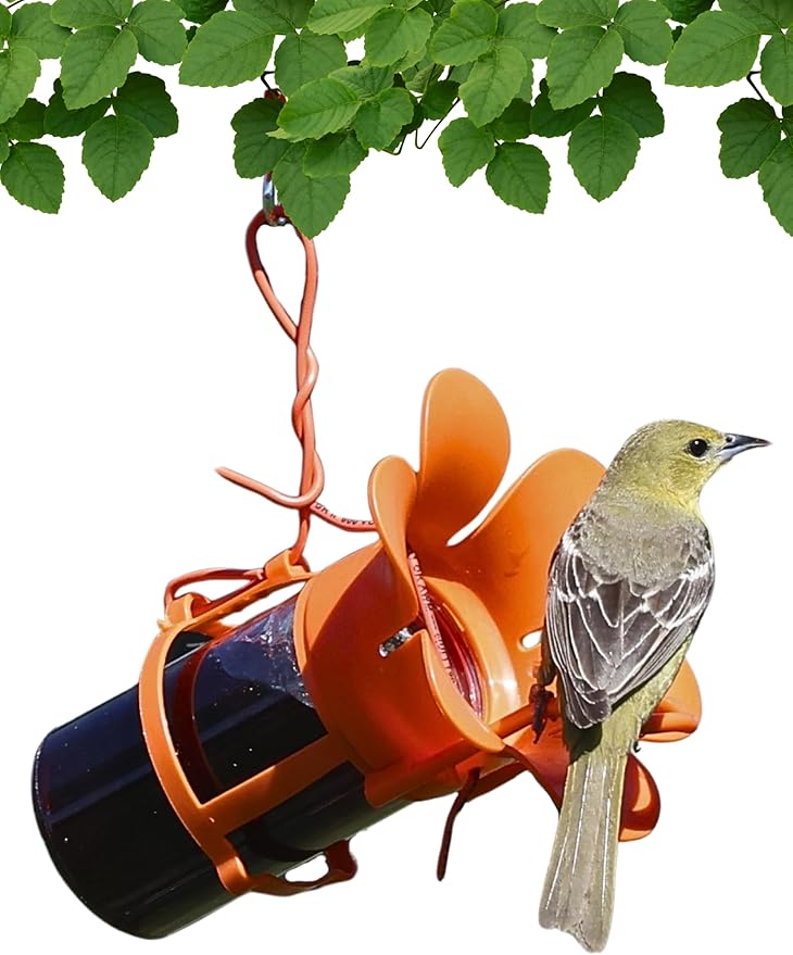 Songbird Essentials Jelly Bird Feeder, Oriole Feeder, Easy to Fill with Jelly or Jam, Plastic Jar Included. Fits Most 10-12 Ounce Jelly Jars