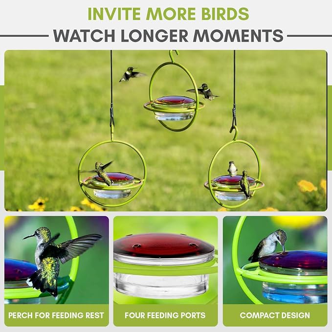 Hummingbird Feeder for Outdoors Hanging, 3.4 OZ Hummingbird Feeders, Glass Bowl with 4 Feeding Ports, Leak Proof Lid & Circular Perch, Bird Feeder (3, Lime)