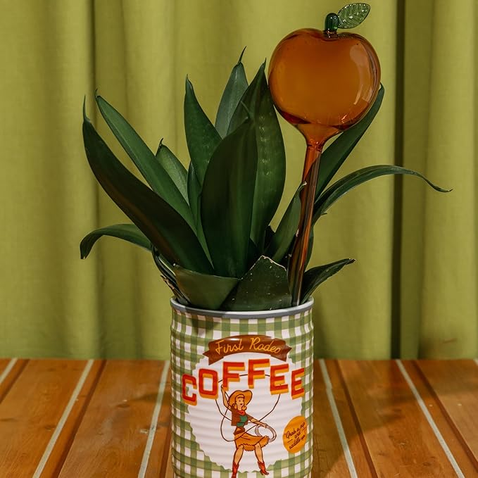 ban.do Plant Watering Globes for Inside Pots and Planters, Unique Decorative Glass Water Globes for Self Watering, Peaches