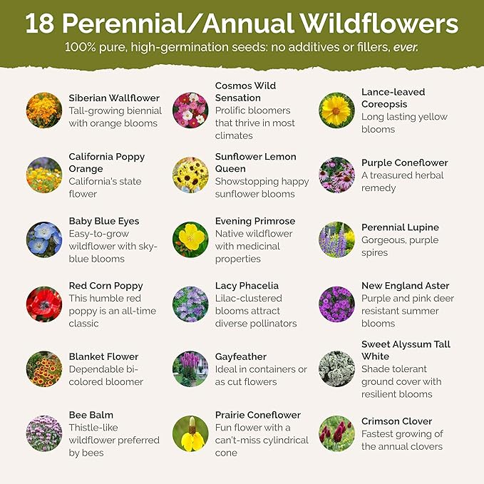 Eden Brothers South Carolina Wildflower Mixed Seeds for Planting, 1 lb, 480,000+ Seeds with WallFlower, Primrose | Attracts Pollinators, Plant in Spring or Fall, Zones