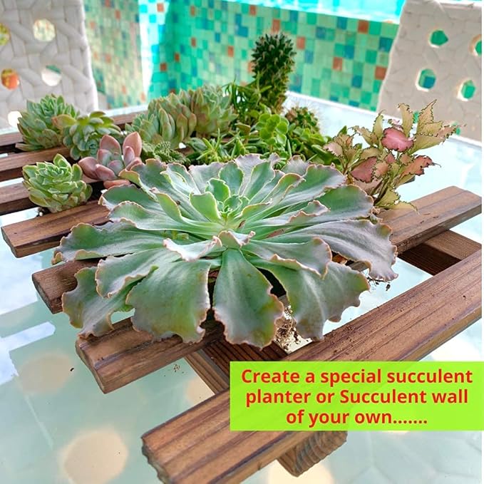 ShopLaLa Bundle - 4 Inch Black Self Watering Pots x 10 Pack+ Wooden Plant Holder, Indoor Vertical Wall Garden, Living Plant Wall Herb Garden Vertical System, Wall Mount Hydroponic Wall Pots