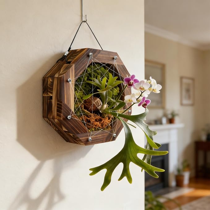 8.18 Inches Staghorn Fern Mounting Kit Orchid Mounting Wood Hanging Plant Frame Wall Planter Plant Holder Basket for Orchids Staghorn Fern Tropical Plants (208x208x60mm)