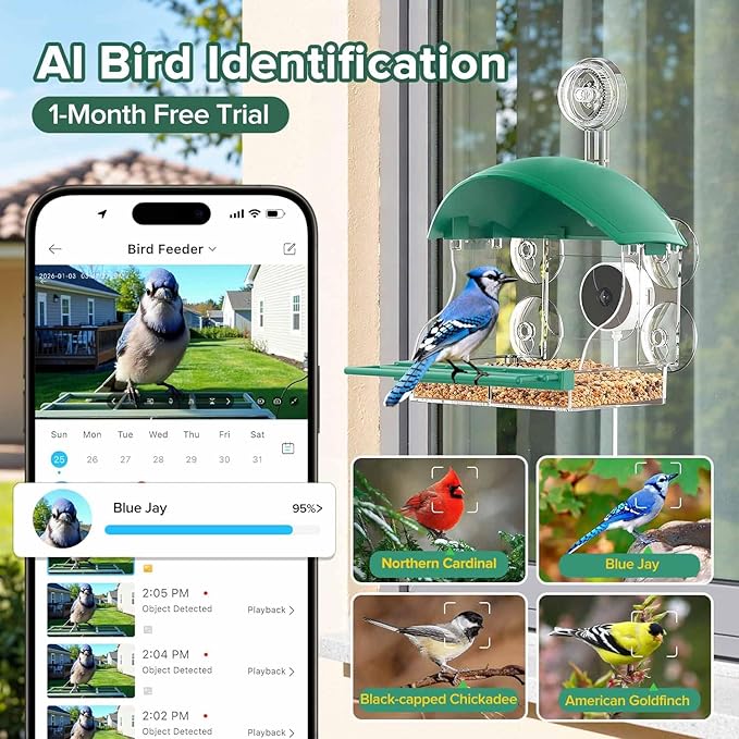 Window Bird Feeder with Camera for Bird Watching,2K Live Video,AI Bird Identification,Instant Arrival Alerts,24/7 Recording,Support 2.4G/5G WiFi,Featuring 5 Strong Suction Cups.