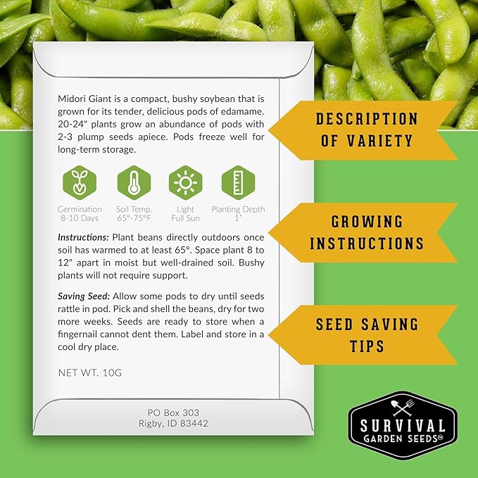 Midori Giant Soybean Seeds for Planting - Grow Protein-Rich Edamame Pods in Your Home Vegetable Garden - Non-GMO Heirloom Soy Bean - Survival Garden Seeds (5 Packs)