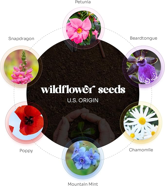 Set of 24 Purple Heart Seed Paper – Writable & Plantable Wildflower with Envelopes & Planting Guides, Mom's Gift for Mother’s Day, Use for Wedding, Baby Shower, Heart Party Favors & Easter Decorations