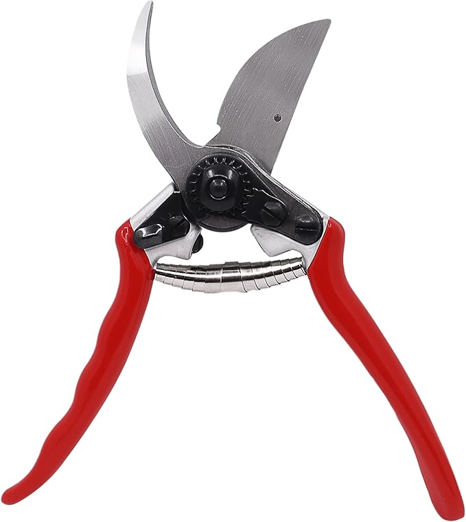 Zenport QZ411 Narrow Head Professional Pruner, 1-Inch Cut, 8.25-Inch Long