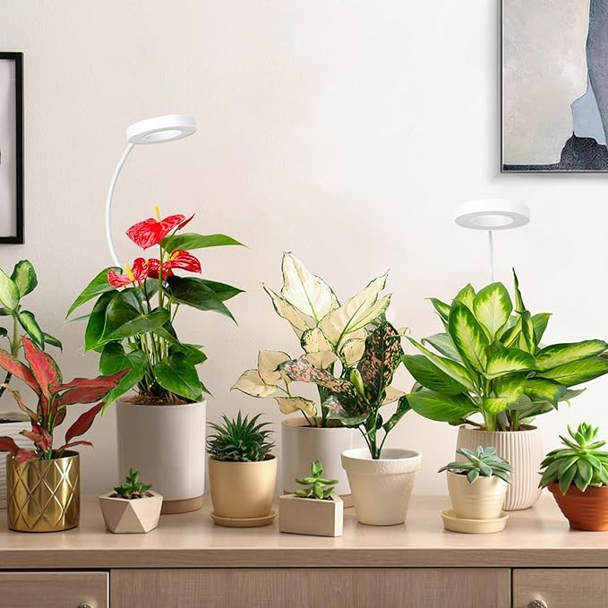 LORDEM Grow Light,Full Spectrum Pot Clip LED Plant Growth Light with Auto On/Off Timer 4/8/12H,Plant Lamp with 360°Rotatable Gooseneck, 4 Dimmable Brightness, Ideal for Small Indoor Plants, 2 Pack