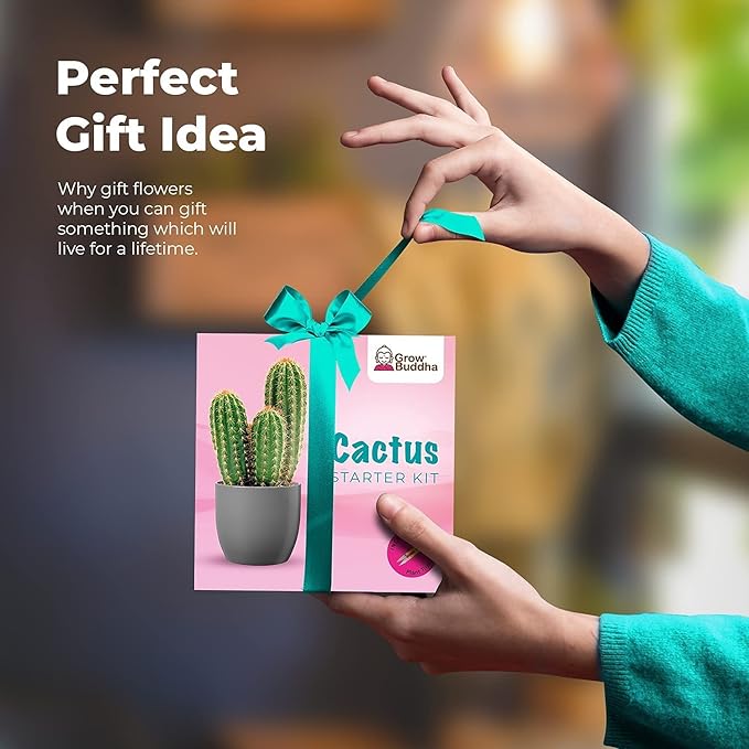 Cactus Kit Grow Your Own Cactus Seeds Starter Kit | Plants, Seeds & Bulbs | Easily Grow Beautiful Varieties of Cactus Plants with Complete Beginner Indoor Cacti Kit – House Plant - Men Women Gifts