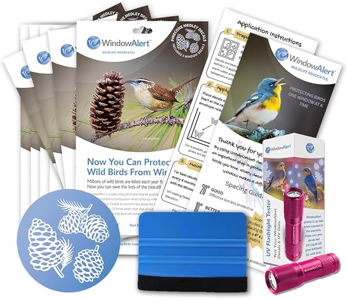 WindowAlert Pinecone Large Starter Pack - Bird Strike Prevention Decals (12 Envelopes) with UV Tester Flashlight & Application Squeegee - Made in USA
