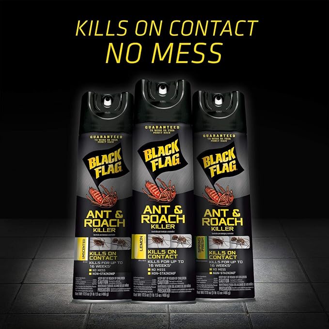 Black Flag Ant & Roach Killer Aerosol, Spring Fresh Scent, 17.5-Ounce, 12-Pack