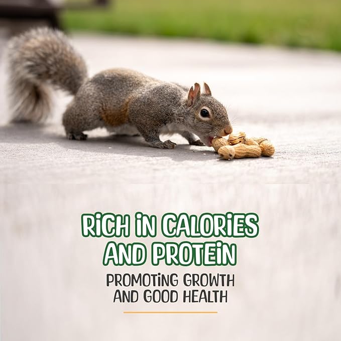 Sneaky Mango Raw Peanuts in Shell - 2 Pounds – All-Natural Food for Squirrels, Deer, Birds, and Other Wildlife Animals – Grown in The USA for Healthy Nutrition