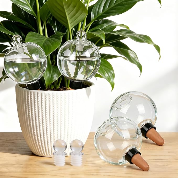 ZephyrBloom 19 Oz Large Self Watering Plant Watering Globes, Water Globes & Watering Bulbs for Indoor Outdoor Plants, Plant Water Feeders for All Plants While Away and Vacation Watering 4-Pack