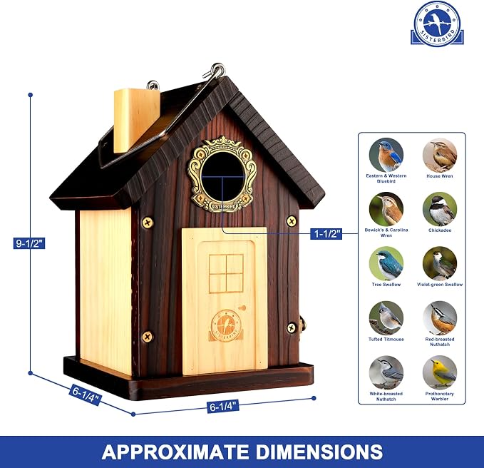 SISTERBIRD Pack of 2 Premium Bluebird Houses for Outside, All Seaons Bird Houses for Outside, Wooden Cabin Birdhouses for Outdoors, Weatherproof Courtyard Decorated Hanging Bird House