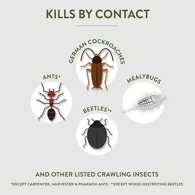 Garden Safe Insect Killer, Diatomaceous Earth, 6 Pack