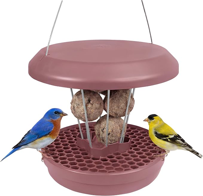 SWISSINNO Bird Feeders - No Mess Fat Ball/Suet Feeder for Outdoors Hanging - Smart Birds Lucerne Spill Proof Wild Cardinal Bird Feeder with Integrated Seed Catcher Tray - Dusty Rose