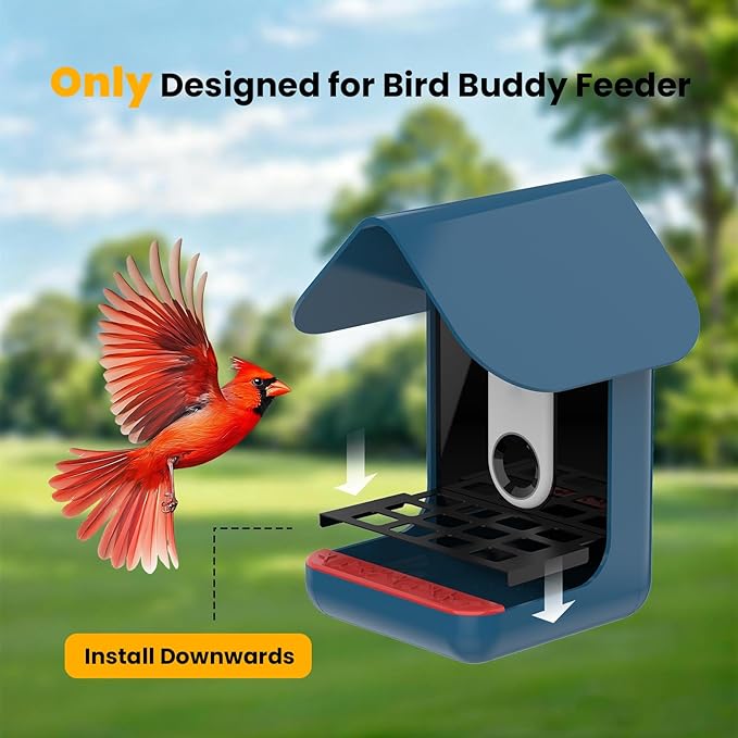 Metal Bird Seed Guard Designed for Birdbuddy Feeder - Chew-Proof Seed Tay for Tossing Protection, Weatherproof Grating Accessory for Outdoor, Black