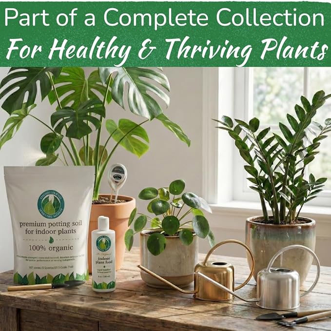 Stainless Steel Watering Can for Houseplants by Houseplant Resource Center | 1L Capacity for Indoor/Outdoor Plants in Brushed Gold