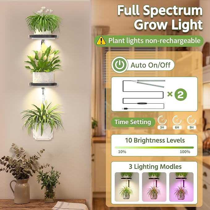LASZOLA Plant Hangers Shelves Wall Mounted Indoor with Grow Lights, Metal Window Plant Holders, 2Pcs Modern Floating Flower Display Stand with 2 Hooks for Outdoor Kitchen Bathroom Decor, Dark Grey