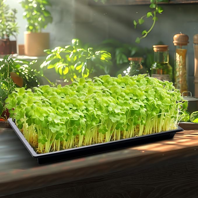 RooTrimmer Growing Trays, 1020 Plant Nursery Trays Heavy Duty Seed Starter Flat Seedling Tray for 72/128 Cell Plug Tray Transplant Growing Microgreens (21"×11", 10 Pack, 1.6" Deep, Without Holes)
