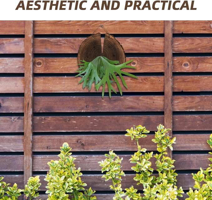 DOITOOL Fern Wall Mount Board Hanging Wall Planter for Indoor Outdoor Plants Rustic Decor for Home Garden 8.66 X 7.08 X 1.02 in 1 Pack