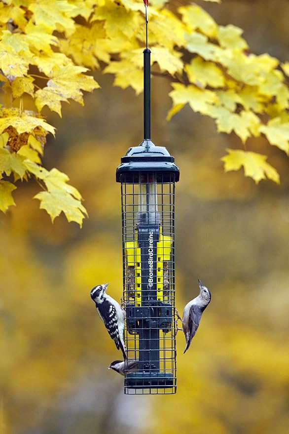 Squirrel Buster Suet Squirrel-Proof Suet Bird Feeder with Two Suet Cake Trays, Two Crumb Ports, Mess-Free Suet Loading, Durable Green Design for Clinging Birds