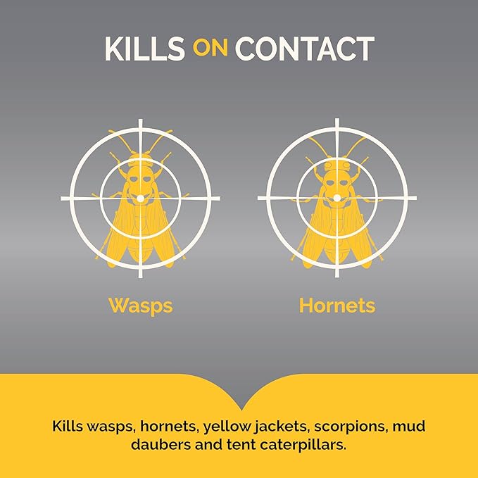 Hot Shot Wasp and Hornet Killer Aerosol, Up to 27-Foot Jet Spray, 14 Ounces, 2 Pack