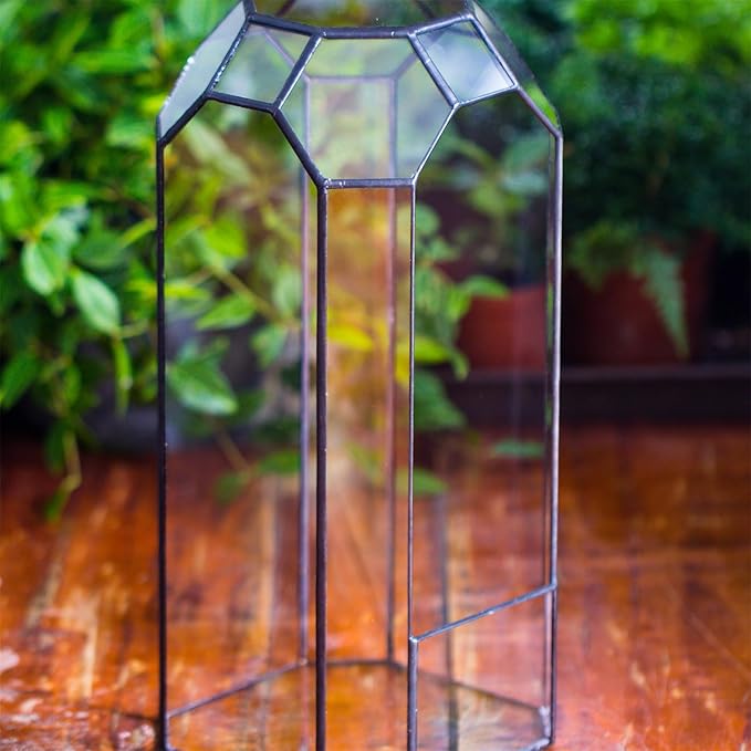 NCYP No Door Glass Geometric Terrarium for Plant, Succulent, Cacti - 5.5"x5.5"x12.8" Indoor Tall Octagon Glass Planter, Home Garden Office Decoration, Micro Landscape (Terrarium Only)