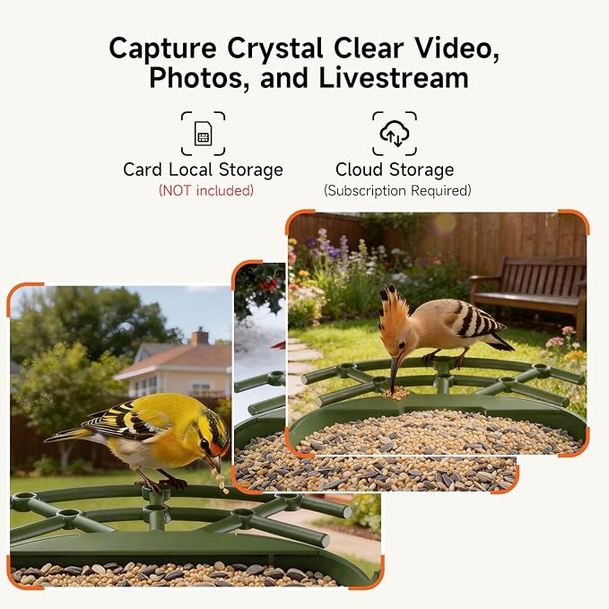 Smart Bird Feeder with Camera - Solar Powered, AI Bird Recognition, 2.4G WiFi 2.5K HD Video Live Stream, Full Color Night Vision, Instant Arrival Alerts, Weatherproof Bird House for Outside
