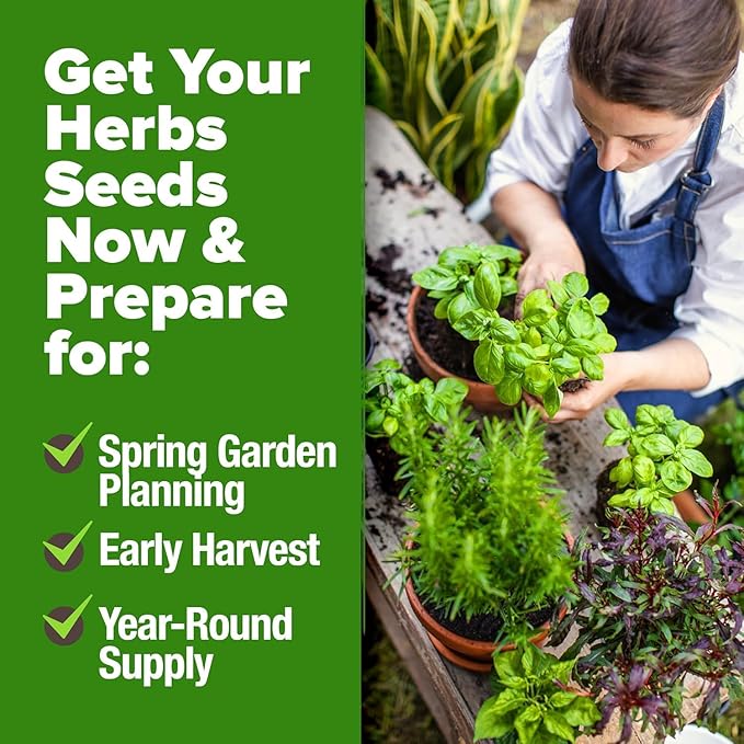 HOME GROWN 25 Herb Seeds for Planting 8,700+ Non-GMO Heirloom Seeds | Extra Large Variety Pack Herb Kit – Indoor Outdoor & Hydroponic | Culinary Seed Set | Grow Your Own Herbs | Gardening Gift