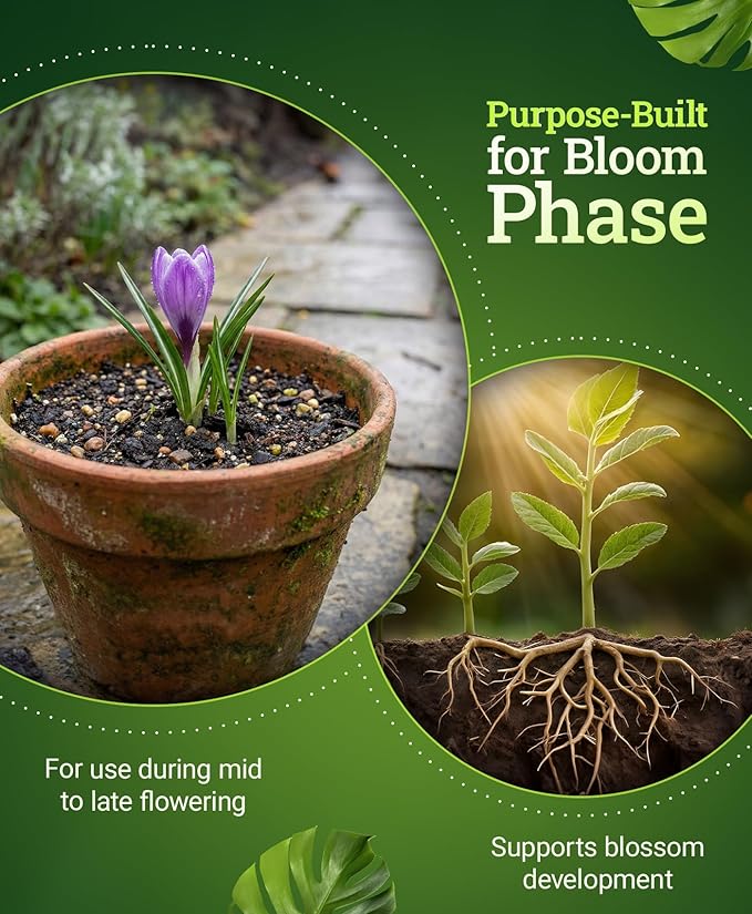 FoxFarm Beastie Bloomz Water Soluble Fertilizer for Mid-Flowering Stage, High Phosphorus Fertilizer 0-50-30, Supports Blossom Development, Easily Dilutes in Water, Ideal for Hydroponics & Soil, 6 oz