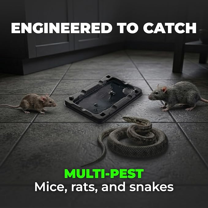 Guarden Glue Traps for Mice & Rats – 10 Pack | Extra-Large Pre-Baited Sticky Traps | No Poison or Pesticides | Catches Mice, Rats, Snakes & Insects