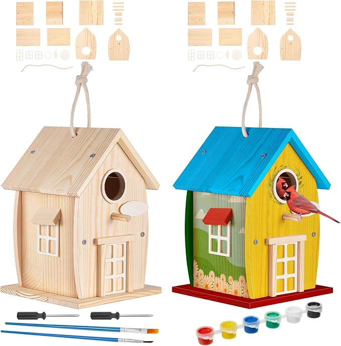 Liliful 2 Pack Wooden Bird House Kits, Build It Yourself Woodworking Kit for Adult Kids 4-8, 8-12 with Paint and Paintbrushes, Solid Weather Proof Natural Pine Wood, Pre Drilled (Rural Style)