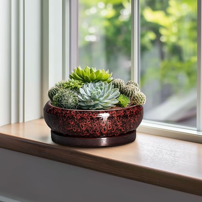 Bonsai Tree Pots - 10 Inch Ceramic Succulent Planters for Indoor Outdoor, Bonsai Pots with Drainage Hole and Saucer, Shallow Round Planter, Planter Bowl, Patio Decor, Gifts for Women, Red